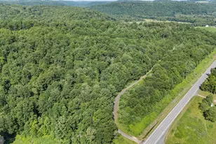 166 68 Acres Mahaffey Grampian Hwy, Mahaffey, PA 15757 - Photo 3