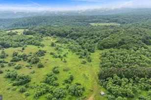 166 68 Acres Mahaffey Grampian Hwy, Mahaffey, PA 15757 - Photo 23