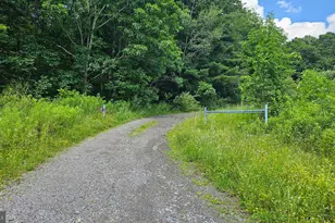 166 68 Acres Mahaffey Grampian Hwy, Mahaffey, PA 15757 - Photo 19