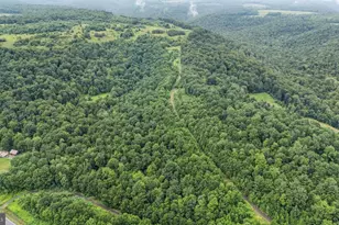 166 68 Acres Mahaffey Grampian Hwy, Mahaffey, PA 15757 - Photo 25