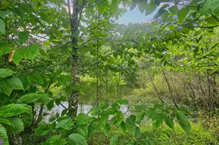 166 68 Acres Mahaffey Grampian Hwy, Mahaffey, PA 15757 - Photo 27