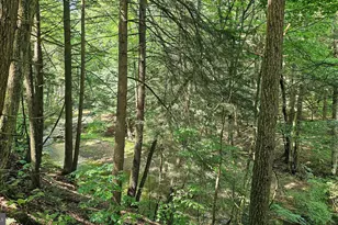 166 68 Acres Mahaffey Grampian Hwy, Mahaffey, PA 15757 - Photo 5