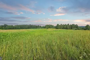 166 68 Acres Mahaffey Grampian Hwy, Mahaffey, PA 15757 - Photo 53