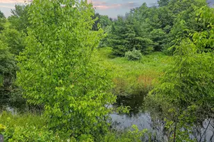 166 68 Acres Mahaffey Grampian Hwy, Mahaffey, PA 15757 - Photo 17