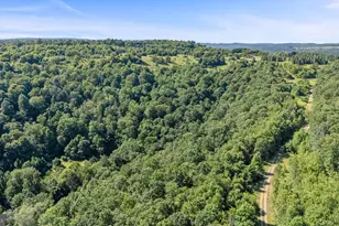 166 68 Acres Mahaffey Grampian Hwy, Mahaffey, PA 15757 - Photo 9