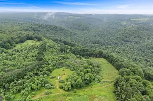 166 68 Acres Mahaffey Grampian Hwy, Mahaffey, PA 15757 - Photo 57