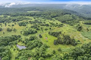 166 68 Acres Mahaffey Grampian Hwy, Mahaffey, PA 15757 - Photo 59