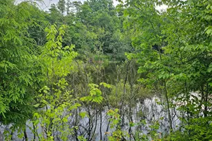 166 68 Acres Mahaffey Grampian Hwy, Mahaffey, PA 15757 - Photo 31