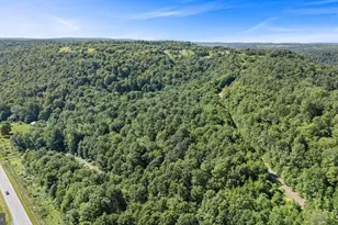 166 68 Acres Mahaffey Grampian Hwy, Mahaffey, PA 15757 - Photo 15