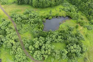 166 68 Acres Mahaffey Grampian Hwy, Mahaffey, PA 15757 - Photo 29