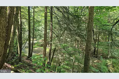 161.22 Acres Mahaffey Grampian Highway, Mahaffey, PA 15757 - Photo 5