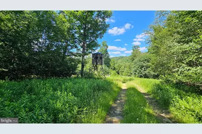 161.22 Acres Mahaffey Grampian Highway, Mahaffey, PA 15757 - Photo 55