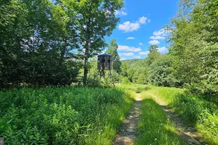161 22 Acres Mahaffey Grampian Hwy, Mahaffey, PA 15757 - Photo 55