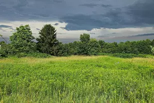 161 22 Acres Mahaffey Grampian Hwy, Mahaffey, PA 15757 - Photo 45