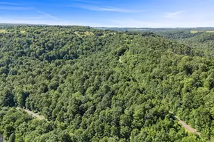 161 22 Acres Mahaffey Grampian Hwy, Mahaffey, PA 15757 - Photo 7