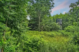 161 22 Acres Mahaffey Grampian Hwy, Mahaffey, PA 15757 - Photo 51