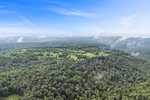 161 22 Acres Mahaffey Grampian Hwy, Mahaffey, PA 15757 - Photo 41