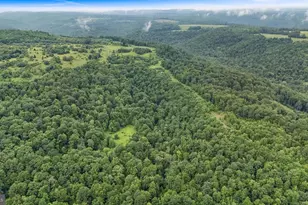 161 22 Acres Mahaffey Grampian Hwy, Mahaffey, PA 15757 - Photo 25