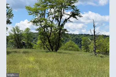 848 Sugar Camp Road, Woodlyn, PA 16881 - Photo 63