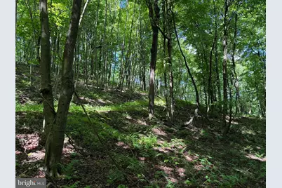 848 Sugar Camp Road, Woodlyn, PA 16881 - Photo 103
