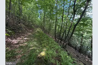 848 Sugar Camp Road, Woodlyn, PA 16881 - Photo 113