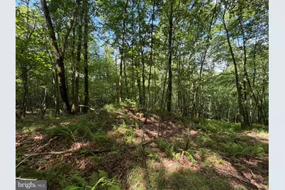 848 Sugar Camp Road, Woodlyn, PA 16881 - Photo 33