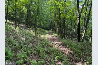 848 Sugar Camp Road, Woodlyn, PA 16881 - Photo 115