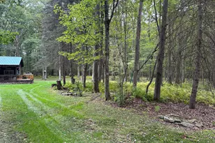[Address not provided], Frenchville, PA 16836 - Photo 39
