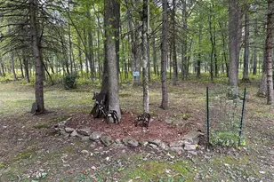 [Address not provided], Frenchville, PA 16836 - Photo 33