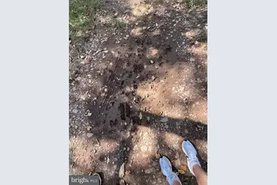 74 & 75 Elm Dr., Catawissa, PA 17820 - Photo 11