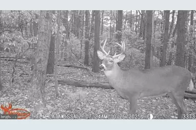 74 & 75 Elm Dr., Catawissa, PA 17820 - Photo 37