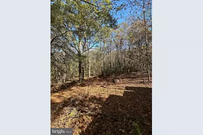 74 & 75 Elm Dr., Catawissa, PA 17820 - Photo 19