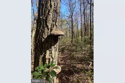 74 & 75 Elm Dr., Catawissa, PA 17820 - Photo 21