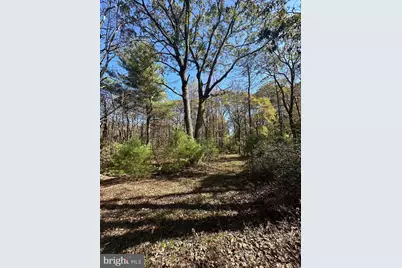 74 & 75 Elm Dr., Catawissa, PA 17820 - Photo 17