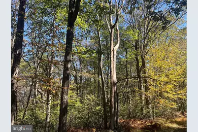 74 & 75 Elm Dr., Catawissa, PA 17820 - Photo 3