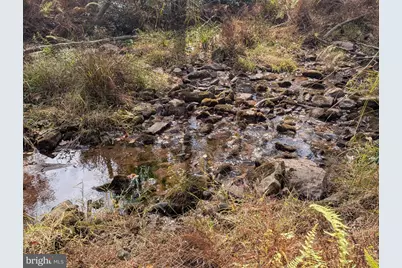 7 Community Pond Drive, Catawissa, PA 17820 - Photo 55