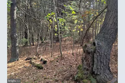 7 Community Pond Drive, Catawissa, PA 17820 - Photo 47