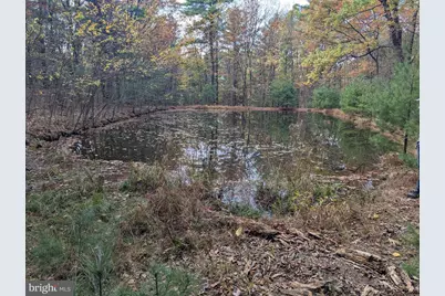 7 Community Pond Drive, Catawissa, PA 17820 - Photo 9