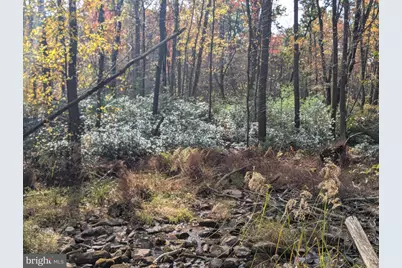 7 Community Pond Drive, Catawissa, PA 17820 - Photo 57