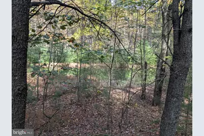 7 Community Pond Drive, Catawissa, PA 17820 - Photo 19