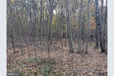 7 Community Pond Drive, Catawissa, PA 17820 - Photo 43