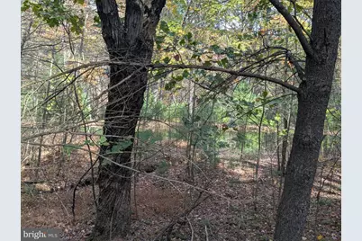 7 Community Pond Drive, Catawissa, PA 17820 - Photo 15