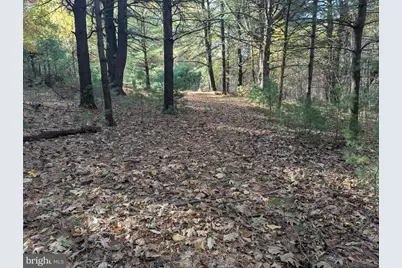 7 Community Pond Drive, Catawissa, PA 17820 - Photo 27