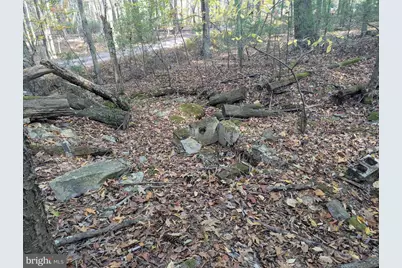 7 Community Pond Drive, Catawissa, PA 17820 - Photo 41