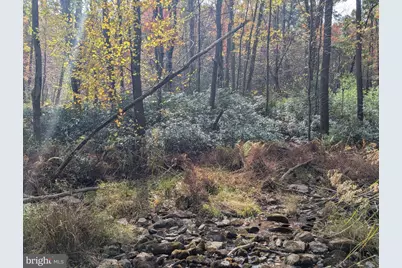 7 Community Pond Drive, Catawissa, PA 17820 - Photo 61