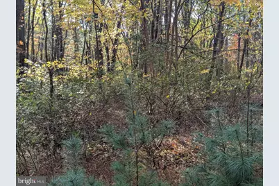 7 Community Pond Drive, Catawissa, PA 17820 - Photo 67