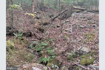 7 Community Pond Drive, Catawissa, PA 17820 - Photo 51