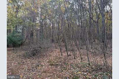 7 Community Pond Drive, Catawissa, PA 17820 - Photo 45