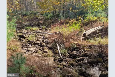 7 Community Pond Drive, Catawissa, PA 17820 - Photo 59