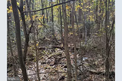 7 Community Pond Drive, Catawissa, PA 17820 - Photo 65